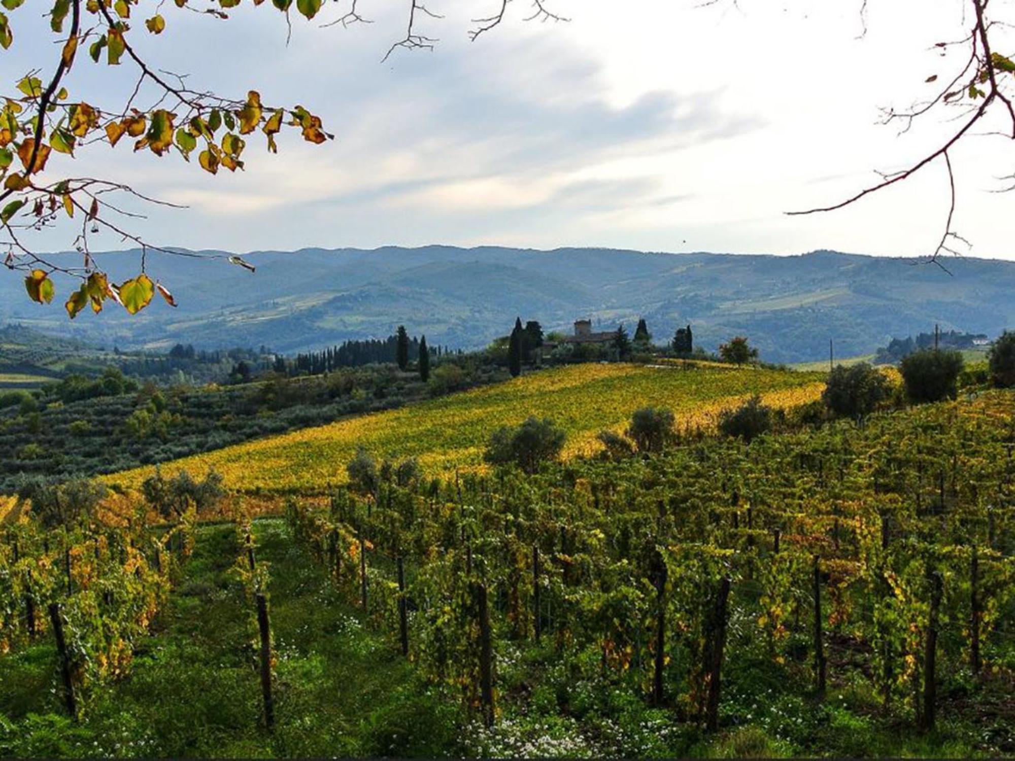 Holiday Home La Torre By Interhome Lucolena in Chianti Exterior foto